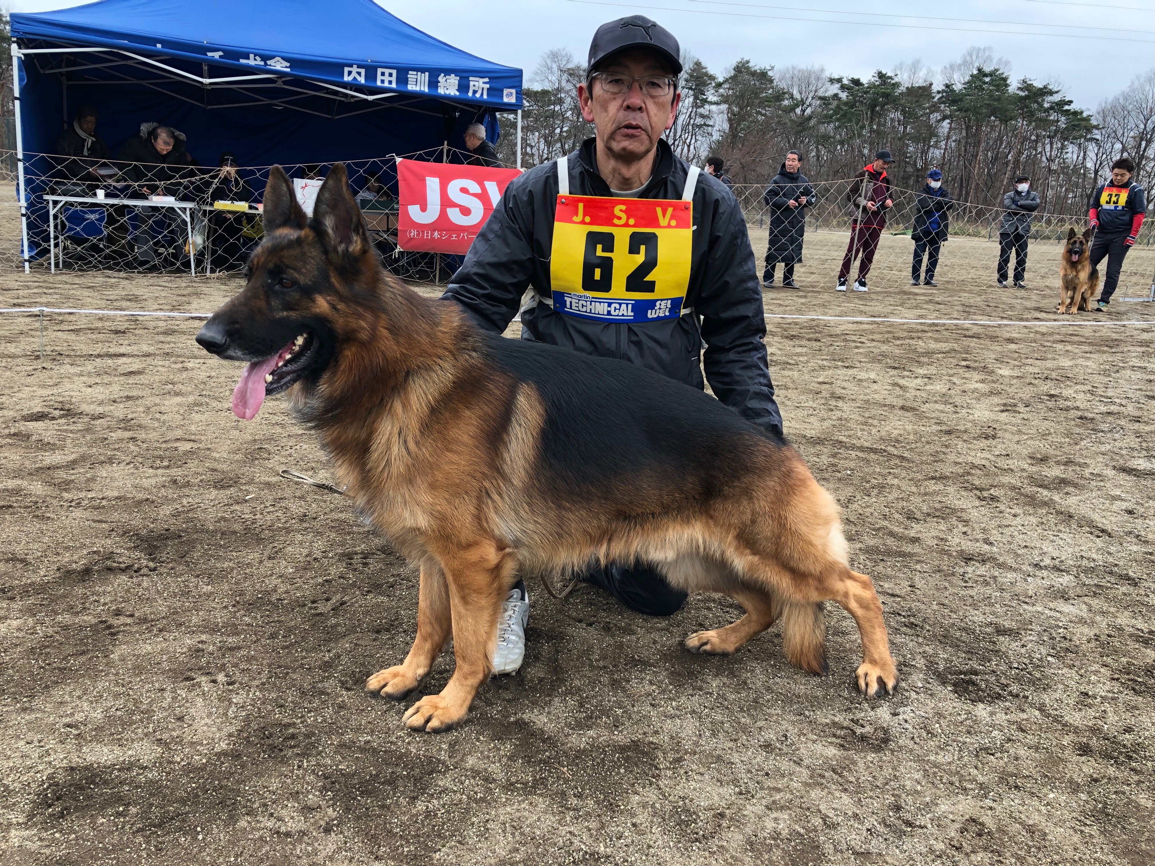 日本シェパード犬登録協会